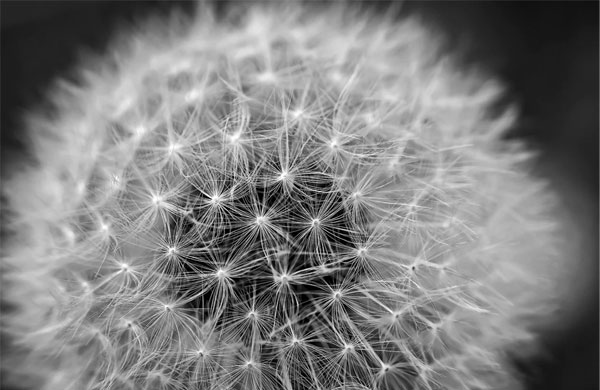 La Vie avec : nouveau dispositif en souscription 